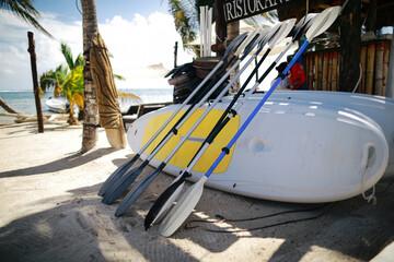Sup board for rent on the beach in Costa Maya