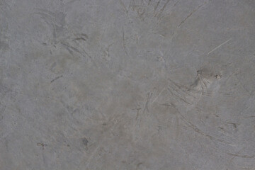 Concrete background with scratches. Gray cement floor or textured wall. Copy space