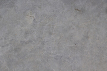 Concrete background with scratches. Gray cement floor or textured wall. Copy space
