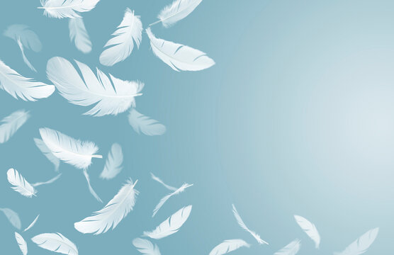 Group of a white bird feathers floating in the air. feather abstract background. © Siwakorn1933