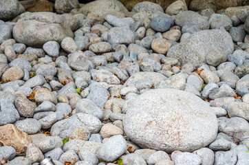 Stone pebbles texture or stone pebbles background