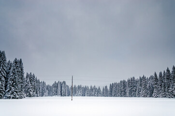 Winter in the national park Sumava
