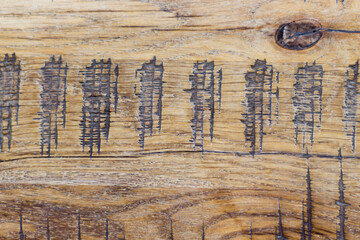 Beige wooden plank with scratches background. Top view, copy space, texture, close-up, soft focus