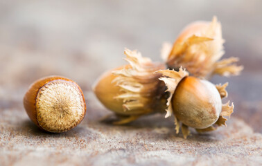 Healthy eating, natural antioxidant organic snack food, hazelnuts with vitamin e and minerals, web...