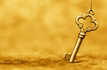 Gold key, trust living concept with copy space