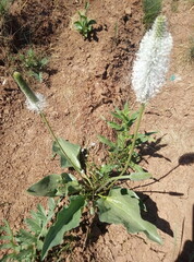 ...There will be life on Mars!...