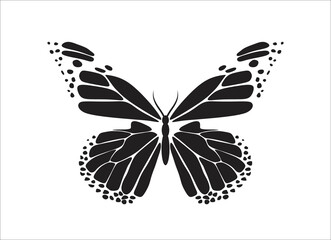 Butterfly Logo Template Vector icon design