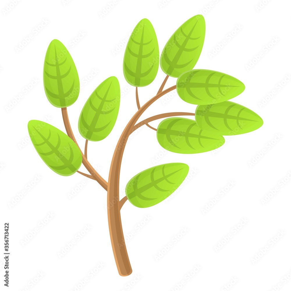 Poster eco tree branch icon. cartoon of eco tree branch vector icon for web design isolated on white backgr