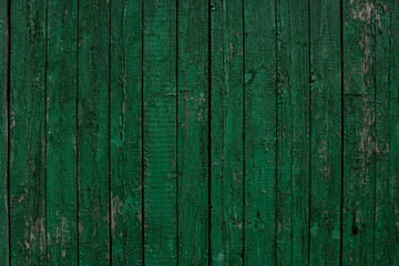 Texture and background old wood painted green paint.