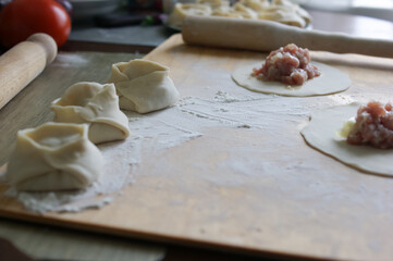 Handmade dumplings process in the kitchen