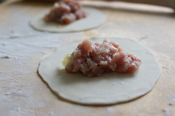 Handmade dumplings process in the kitchen