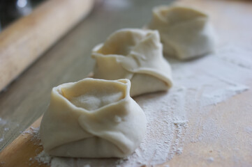 Handmade dumplings process in the kitchen