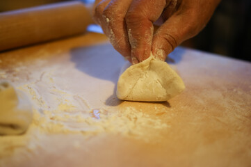 Handmade dumplings process in the kitchen