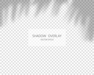 Shadow overlay effect. Natural shadows isolated on transparent background. Vector illustration. 