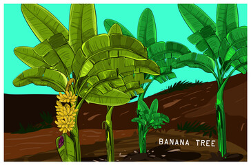 Set of Yellow Bananas with flower. Vector color image