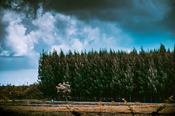 landscape with clouds