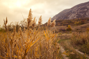 Fototapeta premium lump in the sunset over the dark sky