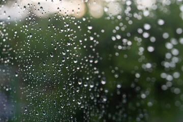 Spring from the house window