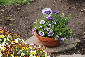 Einpflanzung mit Blumen und Bewässerung aus Glasflasche auf dem Friedhof 