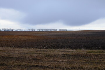 Fototapeta na wymiar Depleted agricultural field on a cloudy evening. Moody landscape.