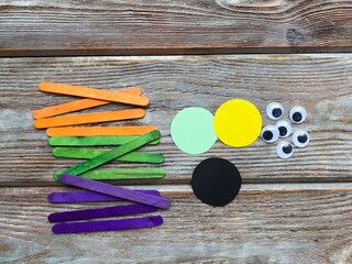 Set for children's craft, sticks, paper and plastic eyes.
