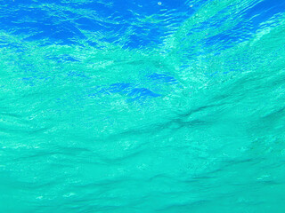 Swimming under the surface of the water in the Caribbean sea