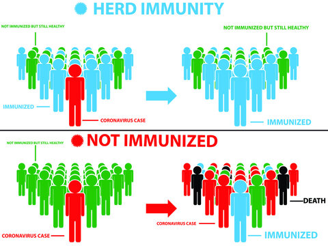 Herd immunity infographic. Second wave coronavirus. Vector illustration