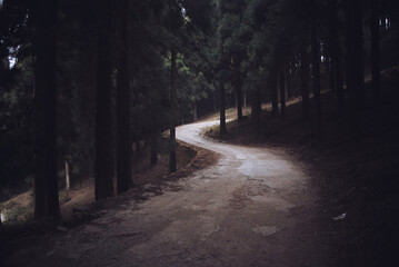 road in the forest