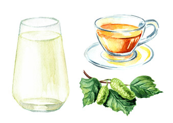 Detox herbal tea, glass of sap or juice with fresh birch branch with leaves set. Hand drawn watercolor illustration isolated on white background