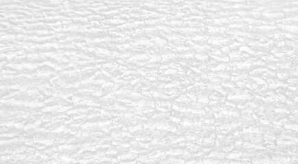 White wood plank texture for background.Chamchuri Tree
