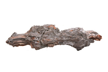 tree bark isolated on white background