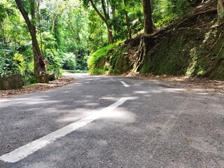 An empty road leading towards the green. Empty road between forest in Ponmudi Hills, Kerala, India.