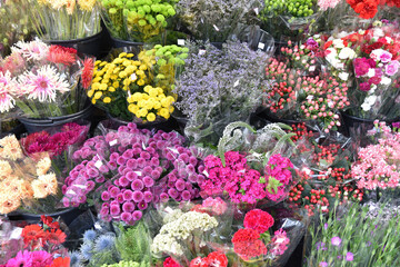Bouquets variés à la vente