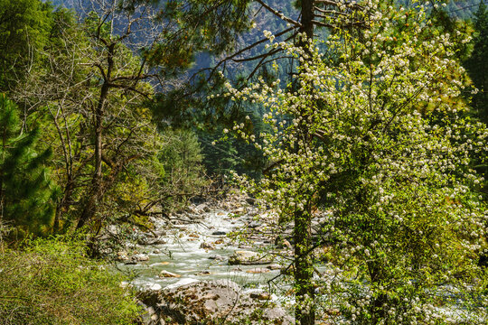 Mesmerizing view at Kasol, Himachal Pradesh, India.