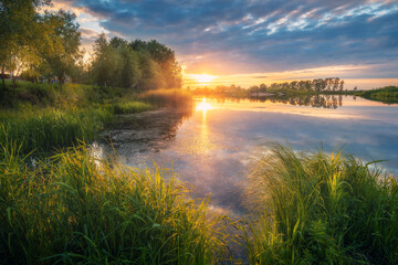Fototapeta na wymiar Beautiful river coast at sunset in summer. Colorful landscape with lake, green trees and grass, blue sky with multicolored clouds and orange sunlight reflected in water. Nature. Vibrant scenery
