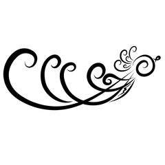 a graceful flying bird of black curls