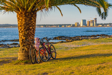 Waterfront Park, Punta del Este, Uruguay