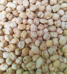 The chickpea or chick pea, scientific name is Cicer arietinum. Its different types are variously known as gram or Bengal gram, garbanzo or garbanzo bean, Egyptian pea.