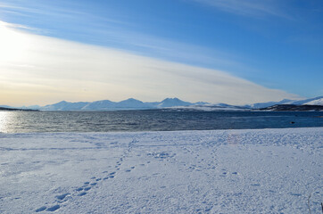 sunny sea and snowy mountain landscape