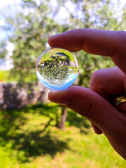 hand holding a magnifying glass