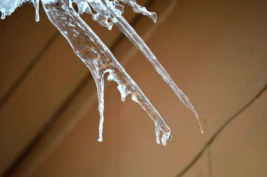 Long Sharp Icicle Hanging From Roof