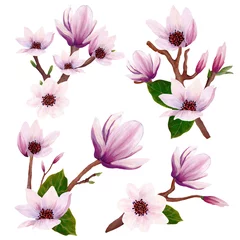 Fototapete Magnolie handbemalte-magnoliensträuße