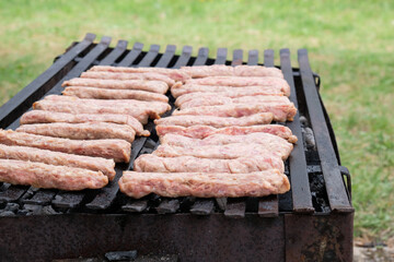 kebabs on the grill closeup 