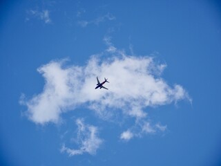 airplane in the sky