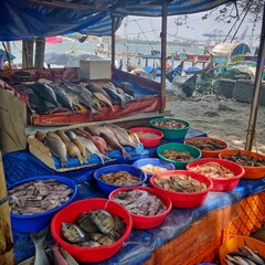 January 27, 2019- KERALA, INDIA: An image of a Fish Stall in Kochi, Kerala, India. Different verities of fish are arranged on baskets, basins and containers for sale.