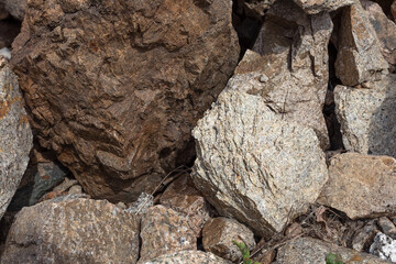 a fragment of gray-brown rock, close-up for background or texture.
