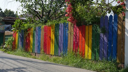 colorful fence with plants