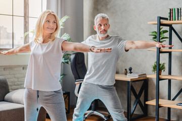 Mature couple practicing yoga and performing warrior yoga pose together - Powered by Adobe