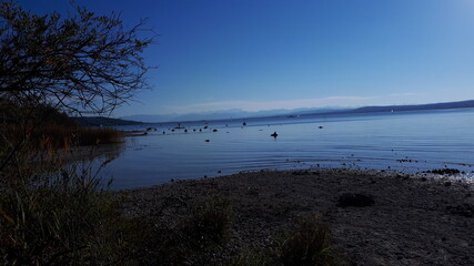 Ammersee