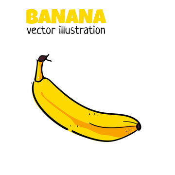 Banana icon on white background. Vector illustration